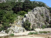 DSC06333