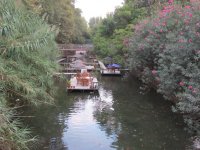 IMG_7435