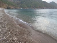 IMG_7471