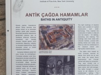 IMG_5448