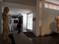 DSC08521