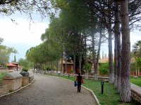 DSC08398