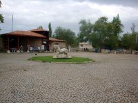 DSC08400