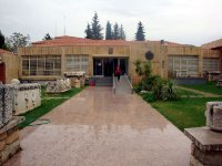 DSC08402