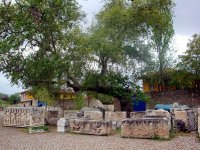 DSC08403