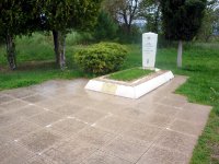 DSC08419