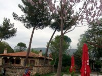 DSC08569