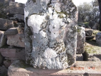 a11