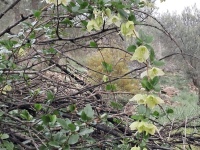 1_f46ff09e-8cd2-4dca-9b4b-f09b070106db