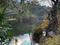 de82b531-cffb-40b7-8721-b08c3995917d