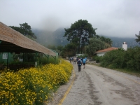 DSC08954