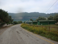 DSC08956