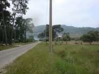 DSC08959