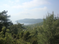 DSC08977