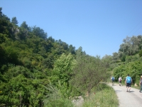 DSC08993