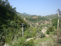DSC09001