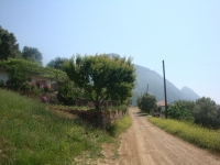 DSC09005