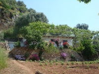 DSC09006