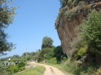 DSC09009