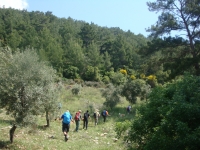 DSC09013