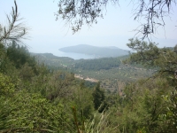 DSC09018
