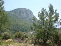 DSC09024