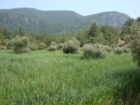 DSC09026
