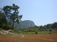 DSC09028