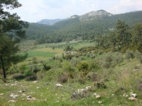 DSC09033
