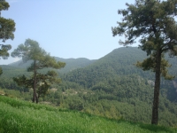DSC09037