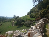 DSC09039
