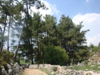 DSC09040