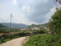 DSC09043
