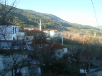 DSC05334