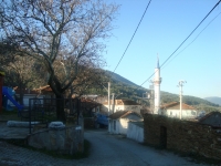 DSC05336