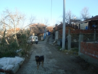 DSC05338