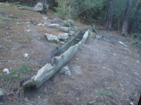 DSC05346