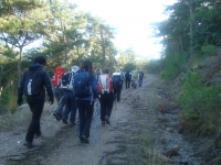 DSC05355