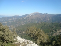 DSC05379
