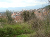 DSC05400