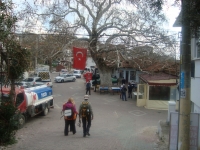 DSC05403