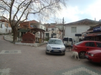 DSC05404