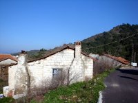 DSC01454