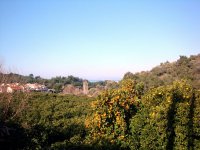 DSC01455