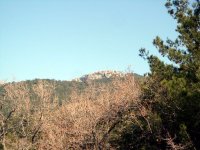 DSC01512