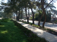DSC09056