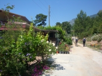 DSC09080