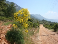 DSC09094