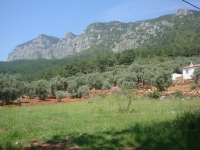 DSC09097
