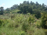 DSC09122